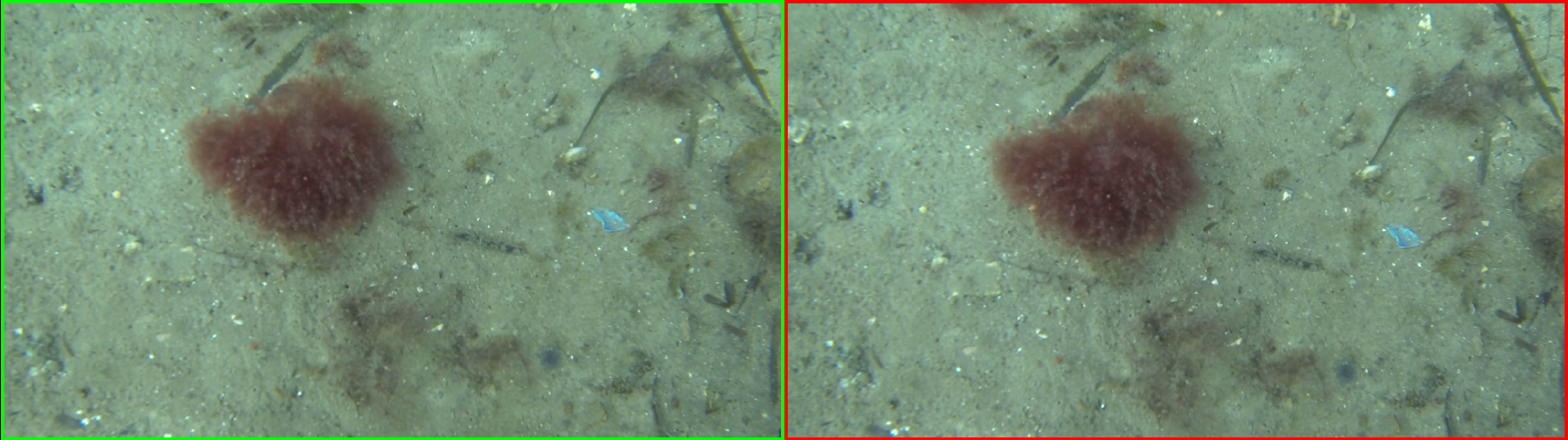 Image Pair